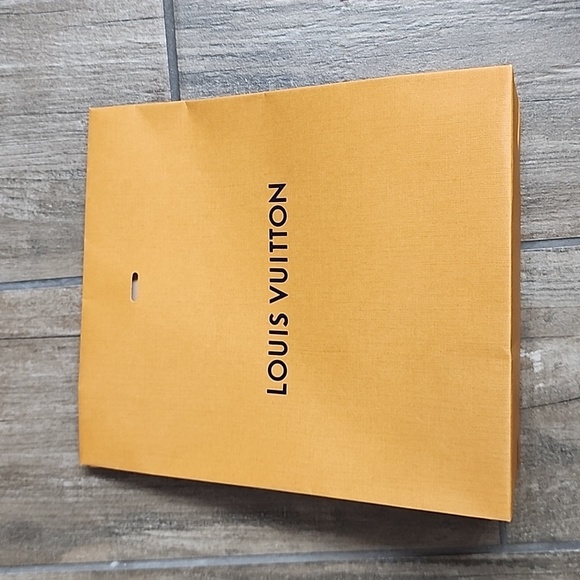 Louis Vuitton Luxury Ribbon and Shopping Paper Bag - Picture 8 of 10